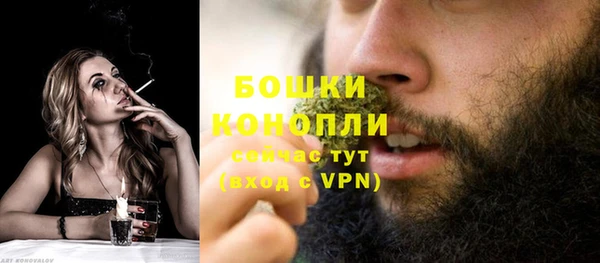 стаф Володарск