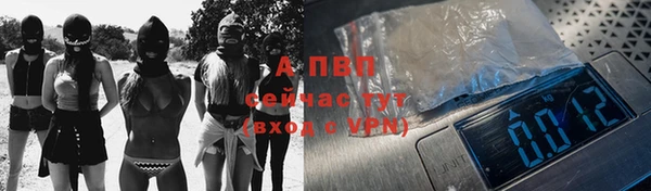 твердый Верея