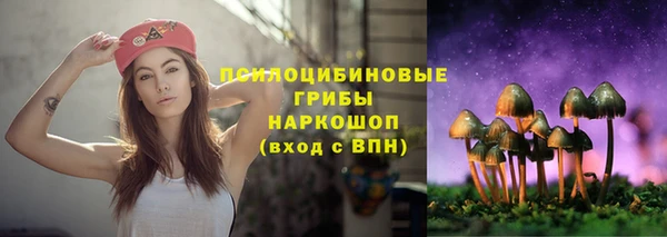 гидропоника Вязьма