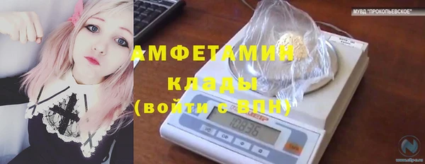стаф Володарск