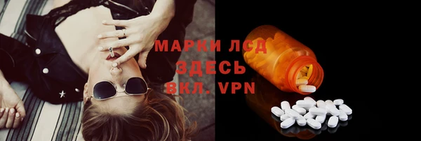 стаф Володарск
