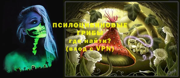 PSILOCYBIN Волоколамск
