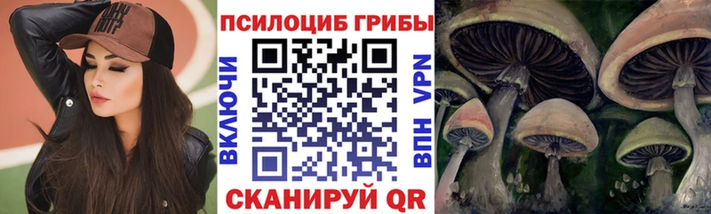 Псилоцибиновые грибы MAGIC MUSHROOMS  kraken сайт  Калтан  цены наркотик 